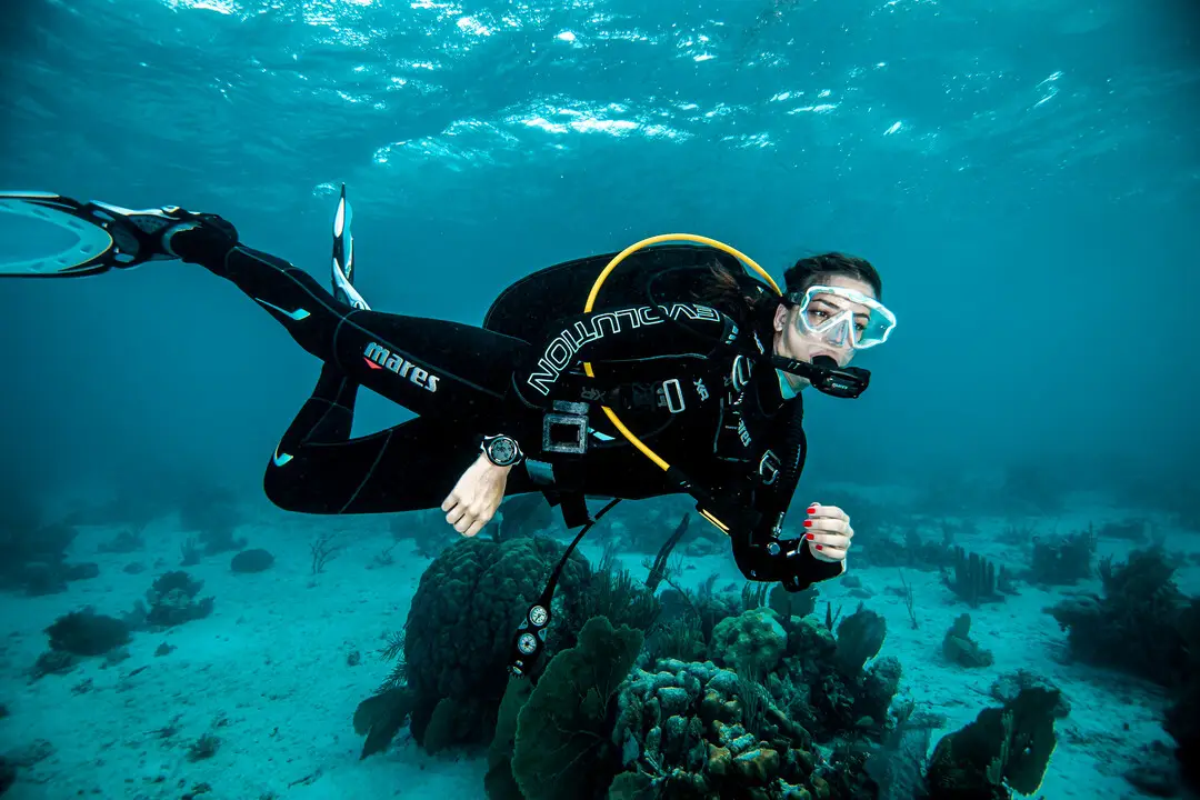 Presentation-Dive Image